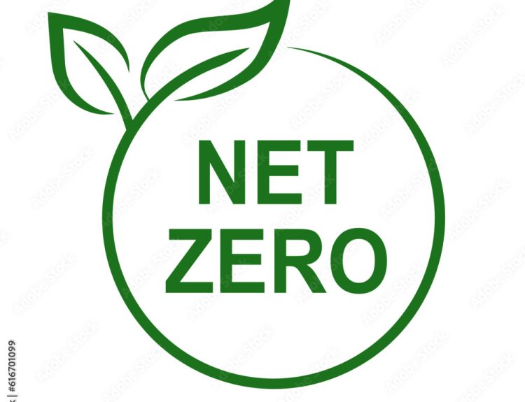 Net Zero Telemarketing Case Study